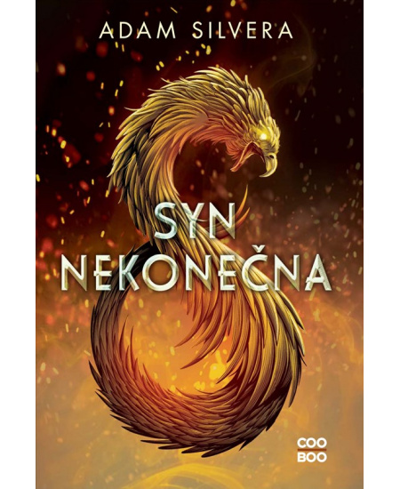Syn nekonečna
