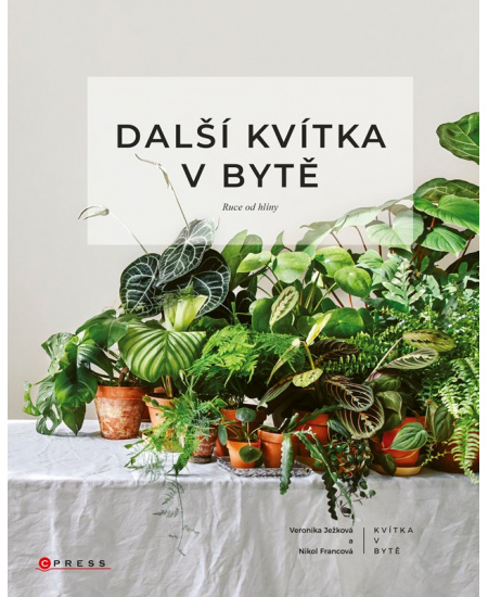 Další kvítka v bytě: Ruce od hlíny