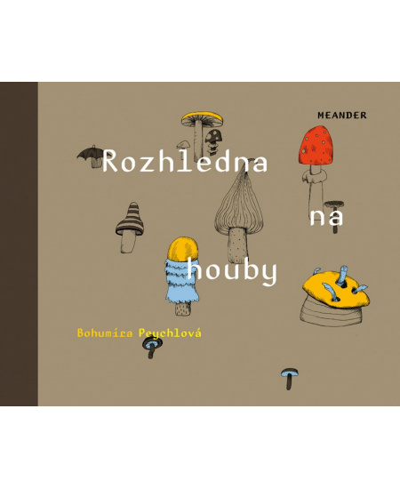 Rozhledna na houby