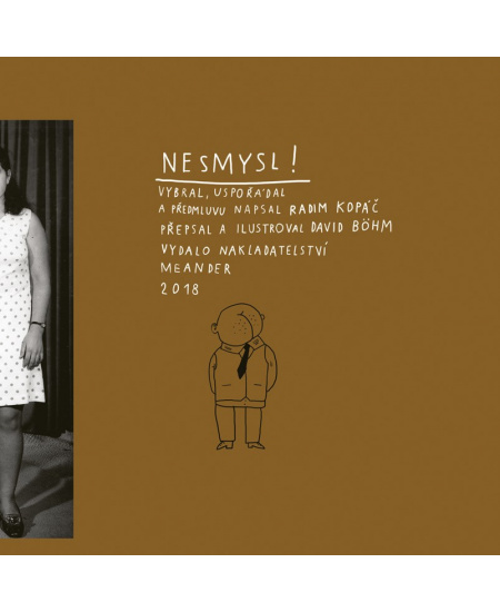 Nesmysl