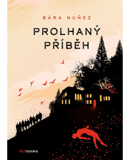 Prolhaný příběh
