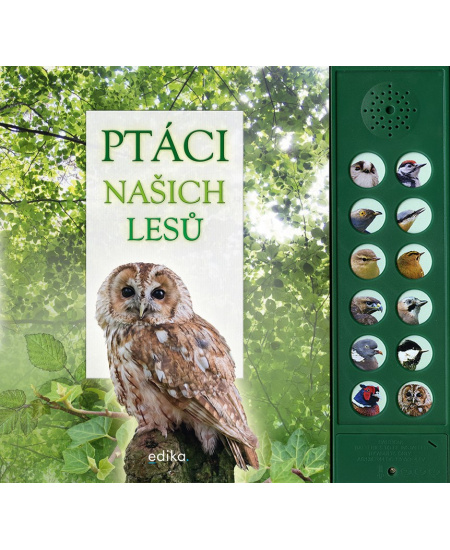 Ptáci našich lesů