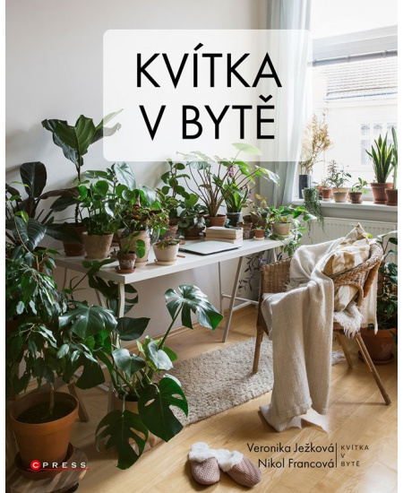 Kvítka v bytě