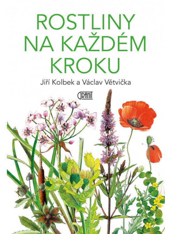 Rostliny na každém kroku