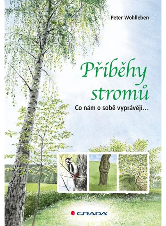 Příběhy stromů - Co nám o sobě vyprávějí...