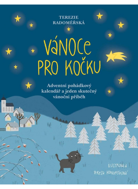 Vánoce pro kočku