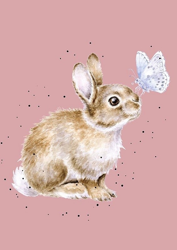 Zápisník A6 Wrendale Designs – králík a motýlek Aladine