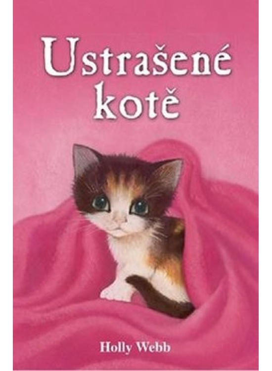 Ustrašené kotě