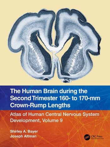 The Human Brain during the Second Trimester 160– to 170–mm Crown-Rump Lengths