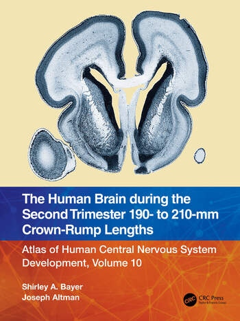 The Human Brain during the Second Trimester 190– to 210–mm Crown-Rump Lengths Taylor & Francis Ltd