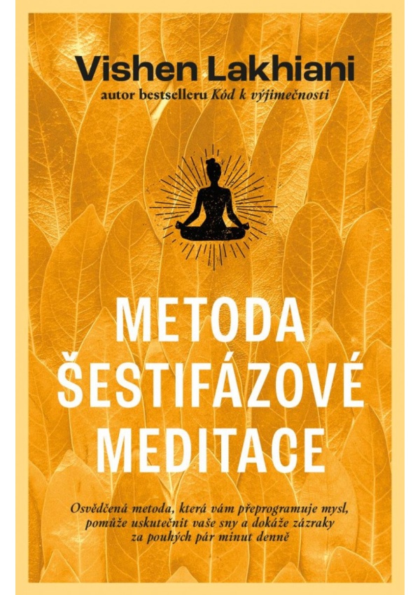 Metoda šestifázové meditace