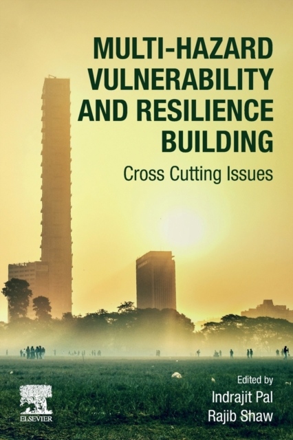 Multi-Hazard Vulnerability and Resilience Building, Cross Cutting Issues