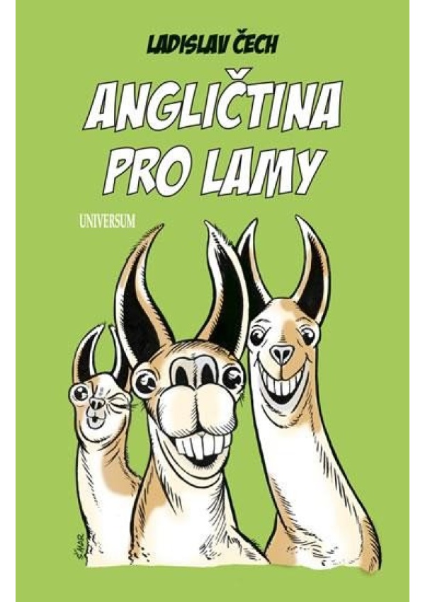 Angličtina pro lamy