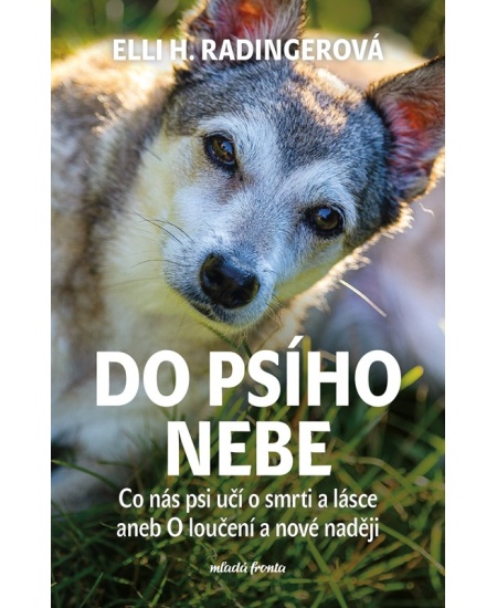 Do psího nebe