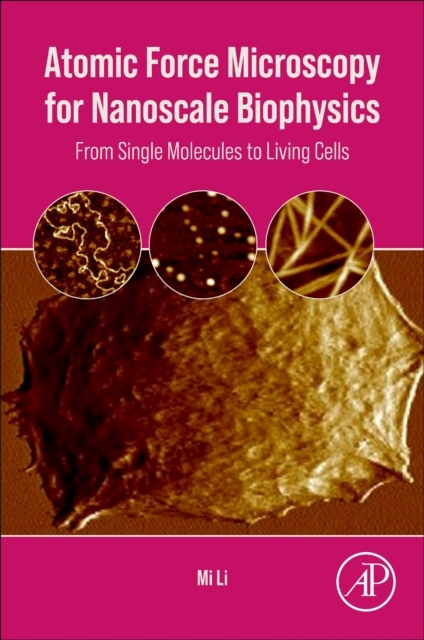 Atomic Force Microscopy for Nanoscale Biophysics, From Single Molecules to Living Cells Elsevier