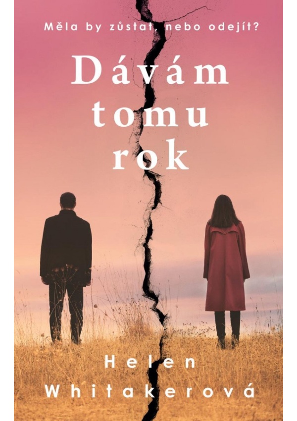 Dávám tomu rok