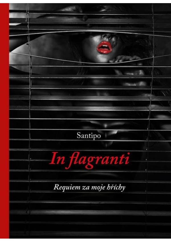 In flagranti - Requiem za moje hříchy