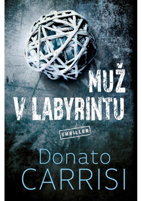 Muž v labyrintu