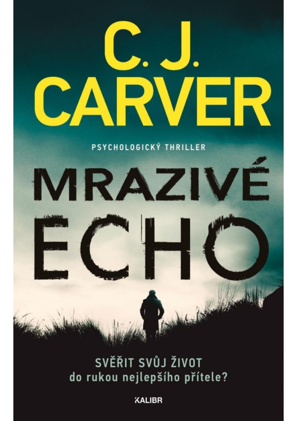 Mrazivé echo