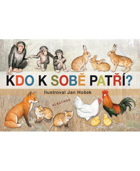 Kdo k sobě patří