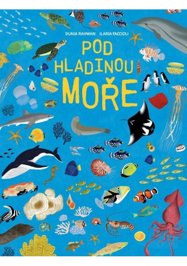 Pod hladinou moře