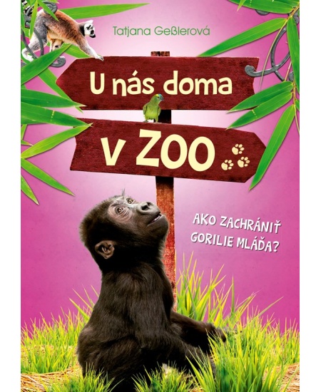 U nás doma v ZOO: Ako zachrániť gorilie mláďa?