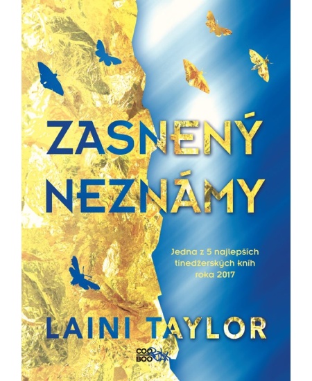 Zasnený Neznámy