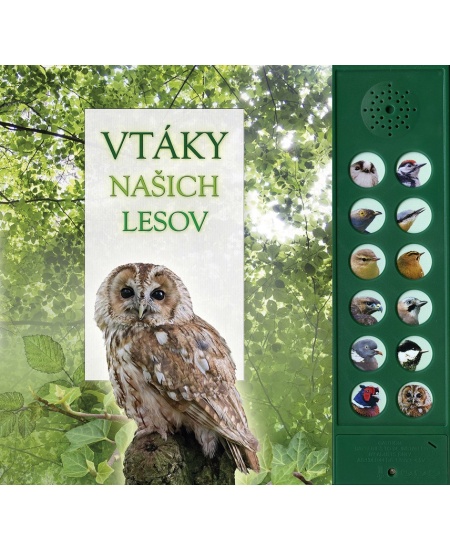 Vtáky našich lesov