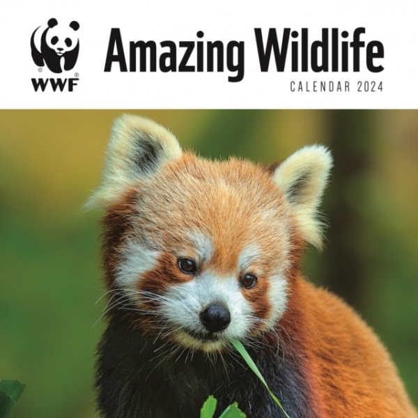 WWF Amazing Wildlife Square Wall Calendar 2024 Carousel Diaries 2023