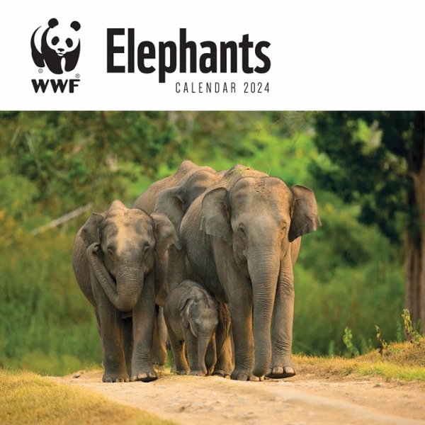 WWF Elephants Square Wall Calendar 2024 Carousel Diaries 2023