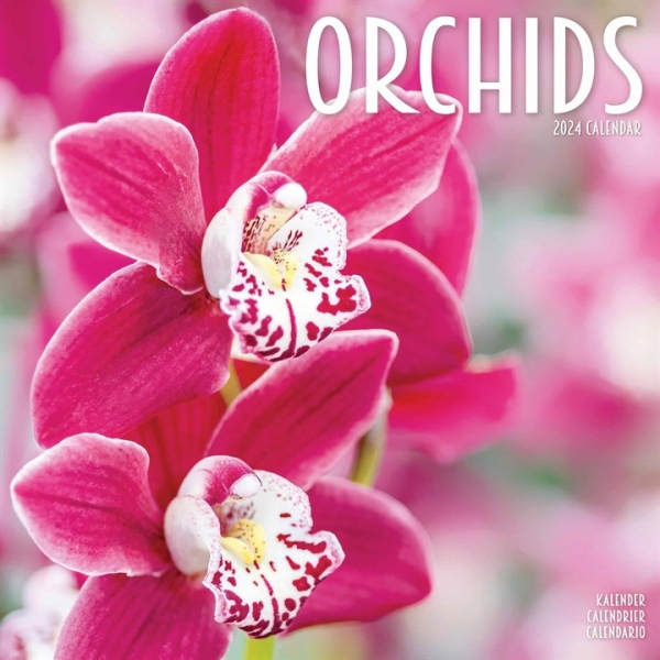 Orchids Calendar 2024 Square Flowers Wall Calendar - 16 Month Avonside Publishing Ltd