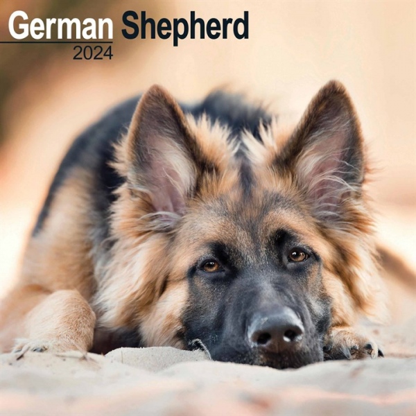 German Shepherd Calendar 2024 Square Dog Breed Wall Calendar - 16 Month Avonside Publishing Ltd