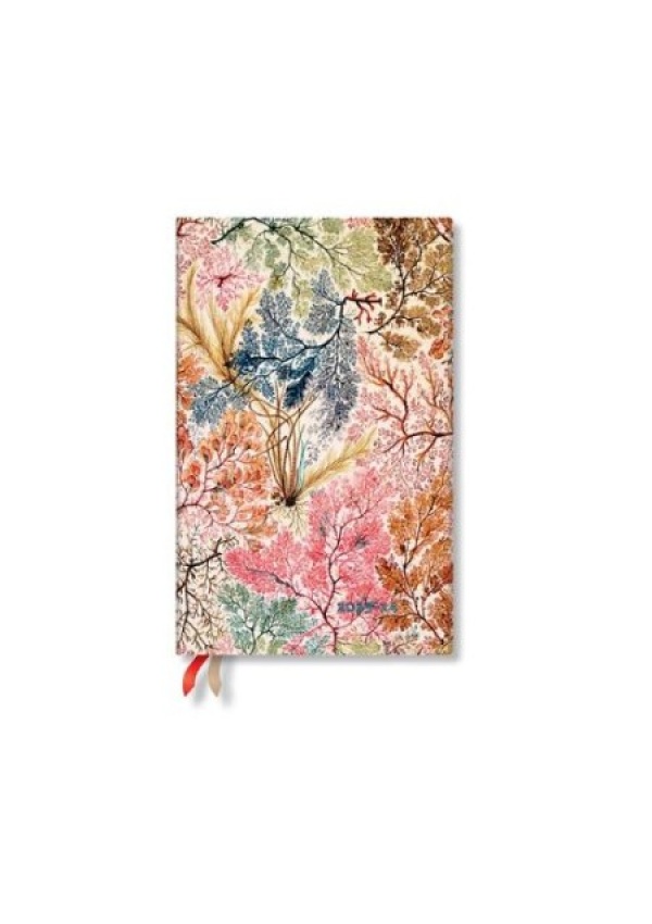 Anemone (William Kilburn) Maxi 18-month Dayplanner 2024