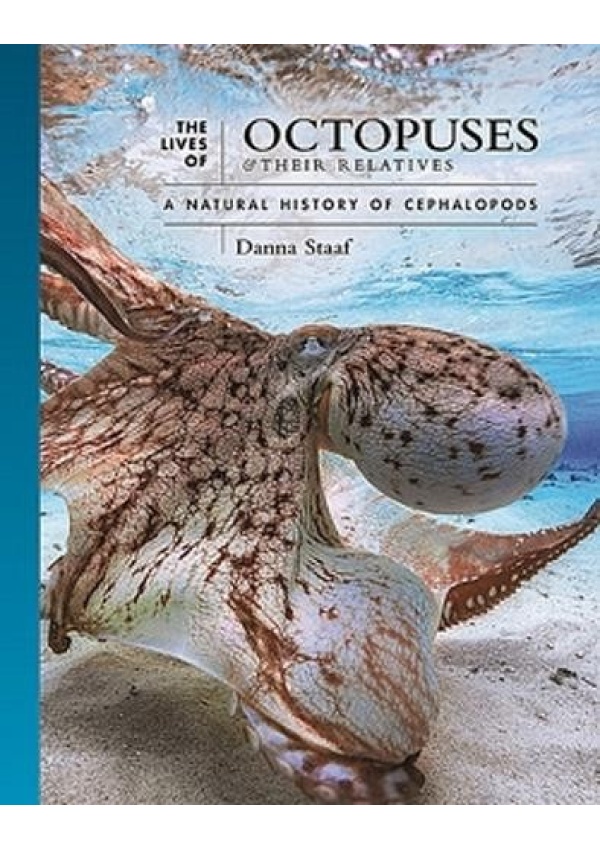 Lives of Octopuses and Their Relatives, A Natural History of Cephalopods