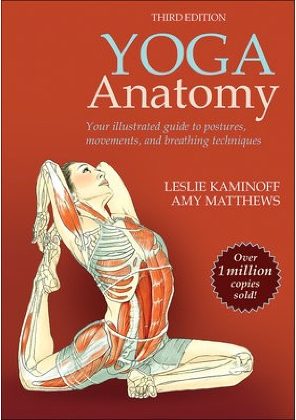 Yoga Anatomy Human Kinetics Publishers