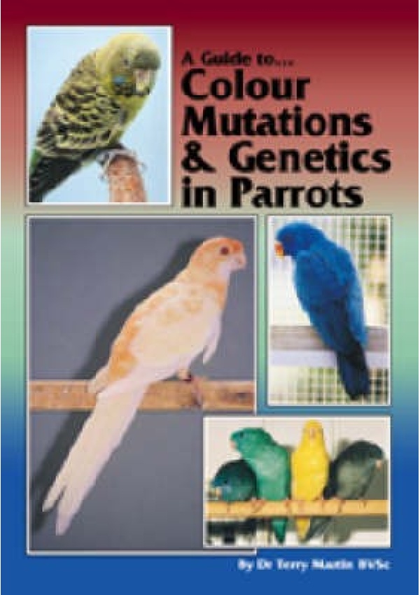 Guide to Colour Mutations and Genetics in Parrots