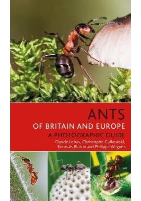 Ants of Britain and Europe