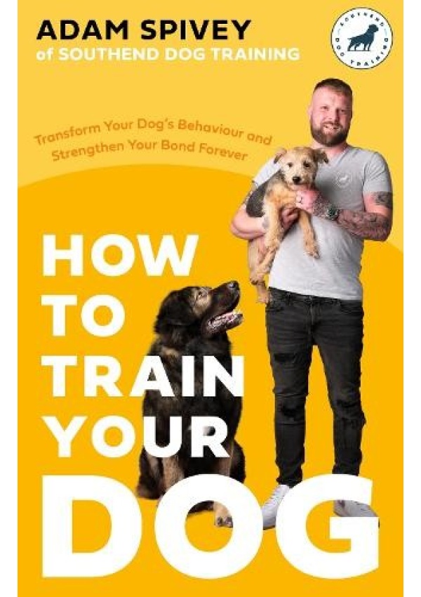 How to Train Your Dog, Transform Your Dog’s Behaviour and Strengthen Your Bond Forever