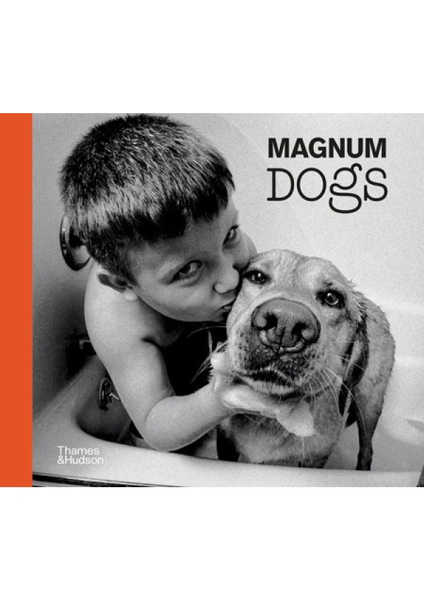 Magnum Dogs