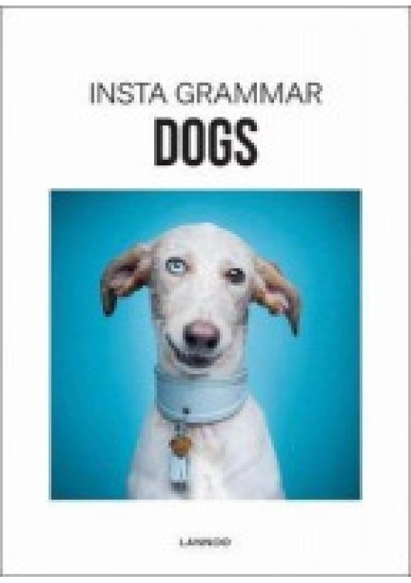 Insta Grammar Dogs
