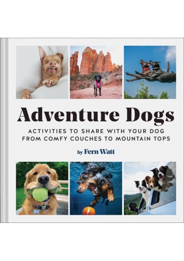 Adventure Dogs, Activities to Share with Your Dog - from Comfy Couches to Mountain Tops