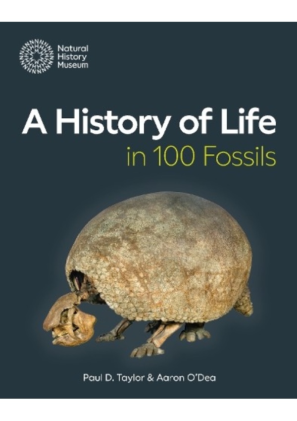 History of Life in 100 Fossils The Natural History Museum