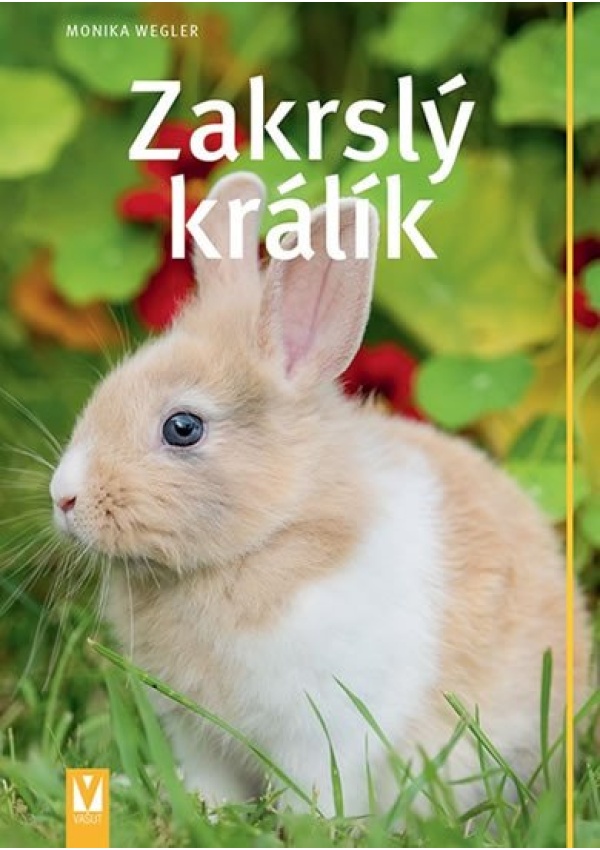 Zakrslý králík
