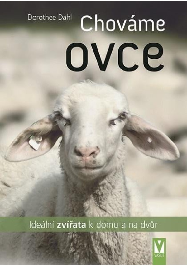 Chováme ovce - Ideální zvířata k domu a na dvůr Jan Vašut s.r.o.