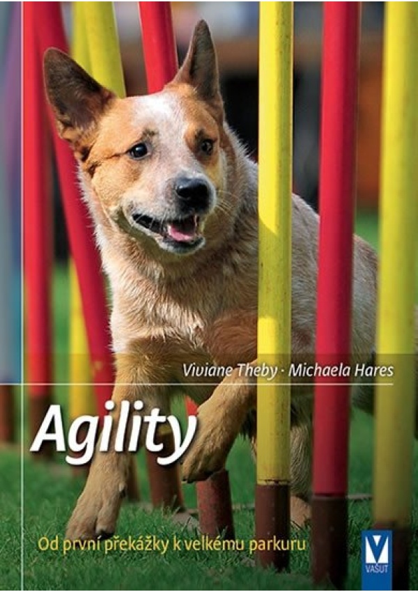 Agility - Od první překážky k velkému parkuru