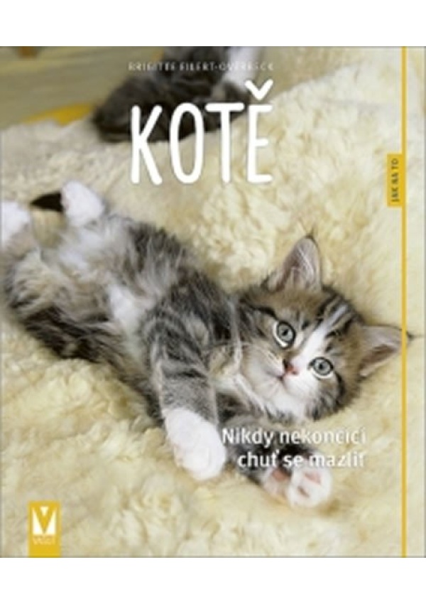 Kotě - Jak na to?