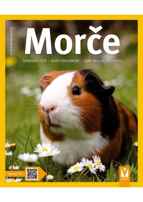 Morče - Správná péče, rady odborníka...
