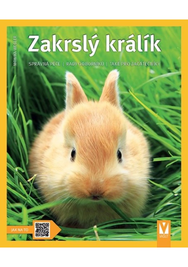 Zakrslý králík: Správná péče, rady odborníků, také pro začátečníky  - Jak na to