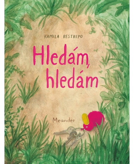 Hledám, hledám