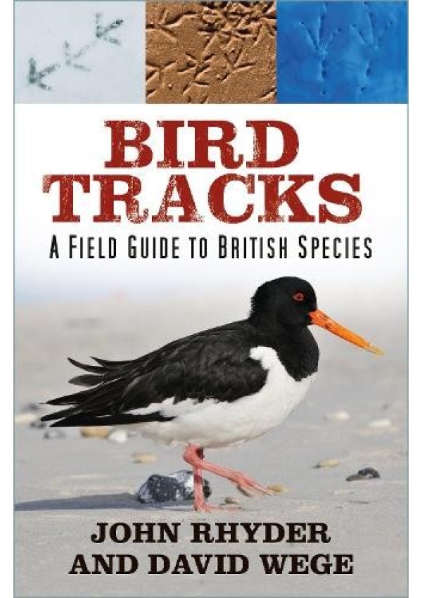 Bird Tracks, A Field Guide to British Species The History Press Ltd